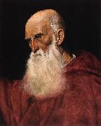 Follower of Jacopo da Ponte Portrait of a Cardinal oil painting on canvas